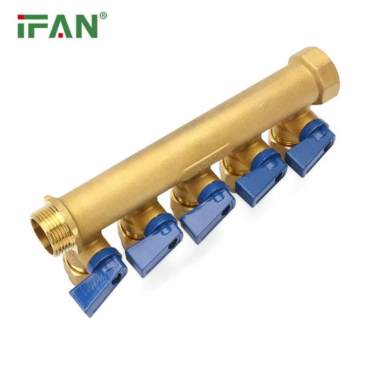 IFAN Brass Manifold
