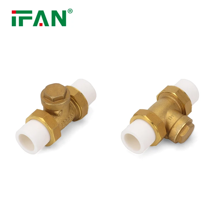 Customized Check Valve Customized Check Valve